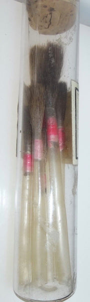 Bottle of C.H. Pencils Brushes w/ Original Cork, Content & Label from St. Louis